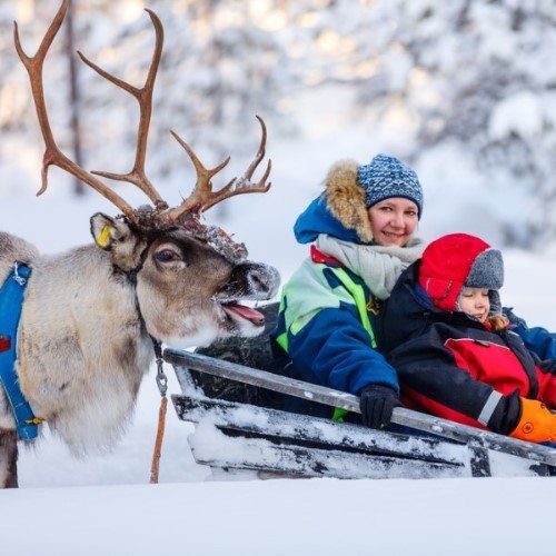 Reindeer sleigh, Finland