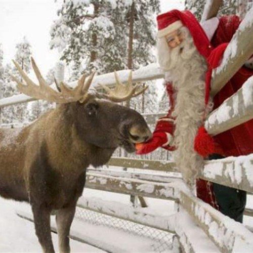 Santa Claus with reeindeer, Ranua zoo